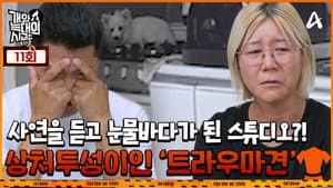 Episode 11