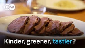 Fake steak - Future-proof food and lab-grown meat