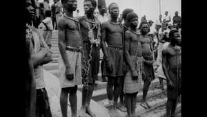 ...all African countries were European colonies?