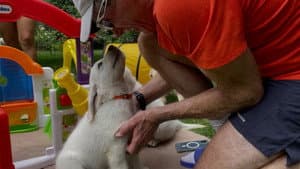11/27/2022: Grave Injustice, Survival of the Friendliest, Comparative Oncology