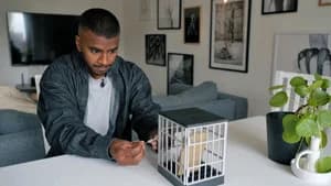 Episode 4