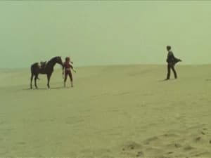 The Great Scary Desert! Two Toubeis!