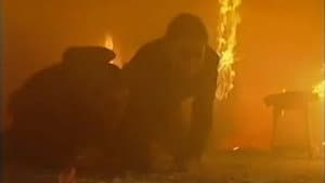 2 January 2001