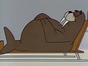 Walrus Enroute