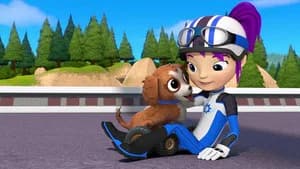 The Puppy Chase