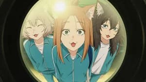 Summer Starts and Ends Here, Nya