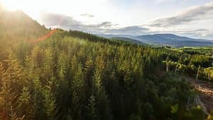 Highlands Rewilding