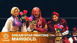 Marigold DREAM✴︎STAR Grand Prix 2026 ~ Day 7