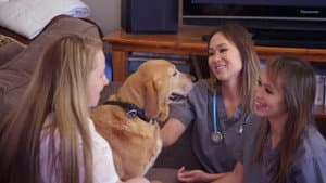 Doggy Blood Bank