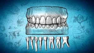 Dental Medicine