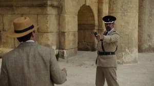 The Maltese Falconer