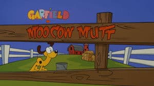 Moo Cow Mutt
