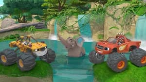 Animal Island