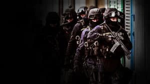 Taking Down the Gangs