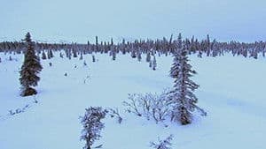 The Wasteland