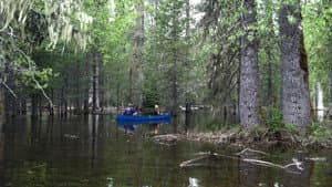 Disappearing Lake, Bat Mystery, Jeff Douglas Remembered And Klamath Lake Canoe Trail