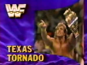September 22, 1990 - Superstars of Wrestling 212