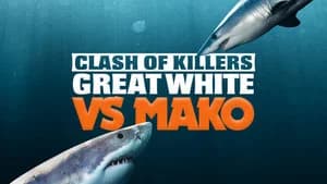 Clash of Killers: Great White vs. Mako