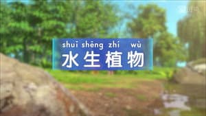 Episode 11