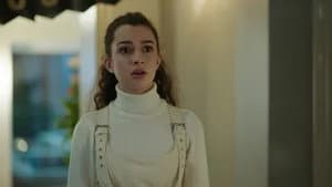 Episode 22