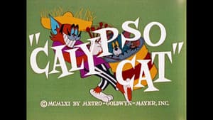 Calypso Cat