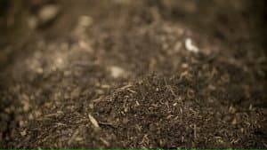 The Soil
