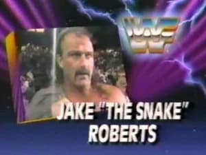December 8, 1990 - Superstars of Wrestling 223