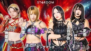 Stardom Golden Week Fight Tour 2025 in Satsumasendai