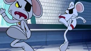 Duplicate Mouse