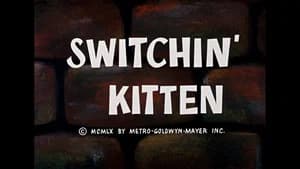 Switchin' Kitten