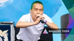 Balming Tiger
