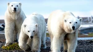 At the Edge of the Earth - Alaska