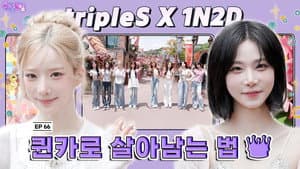 EP.66 tripleS | How to Survive as a Queen Card