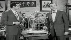 The Case of the Perjured Parrot