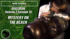 Mystery on the Beach