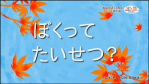 Episode 38