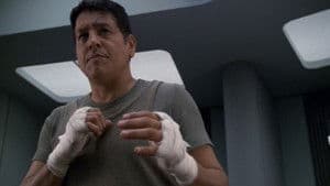 The Fight