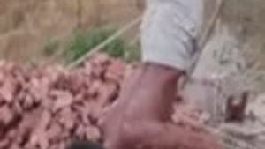 Episode 155