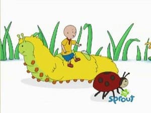 Caillou's Gym Day