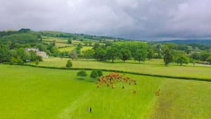Shropshire Hills