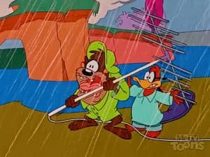 Antenna Dilemma