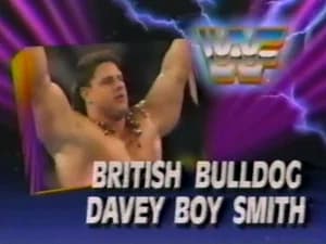 December 22, 1990 - Superstars of Wrestling 225