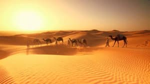 African Adventures