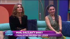 Prueba de líder