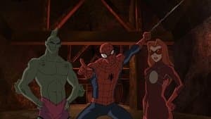 Agent Web