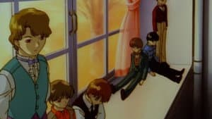 Love of the Dolls