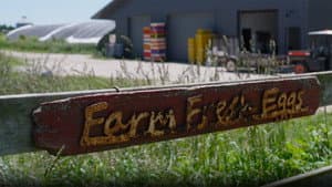 Three Brothers Farm, Uncle Wolfie’s Breakfast Tavern