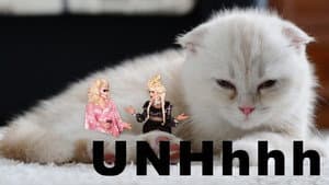 Astrology Part 1: Katya's Taurus Truth