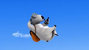 Sky Diving