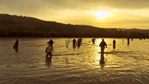 Who's Watching Oregon's Wildlife, Slot Canyon Geology and Eulachon Smelt